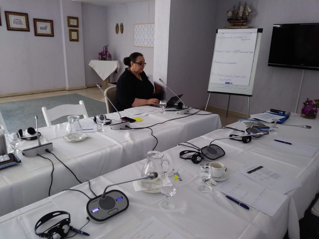 Sussan Tahmasebi - trainer in the Cyprus workshop