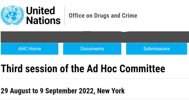 3rd consultation of the Ad Hoc Committee on Cybercrime